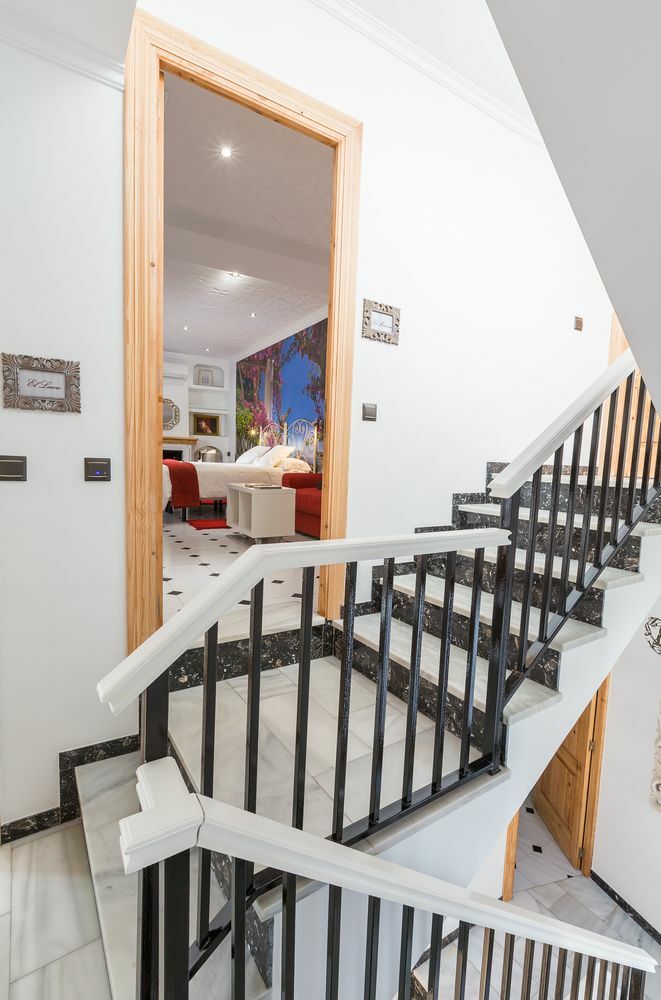 Bed & Breakfast Salamandra Plaza 2*
