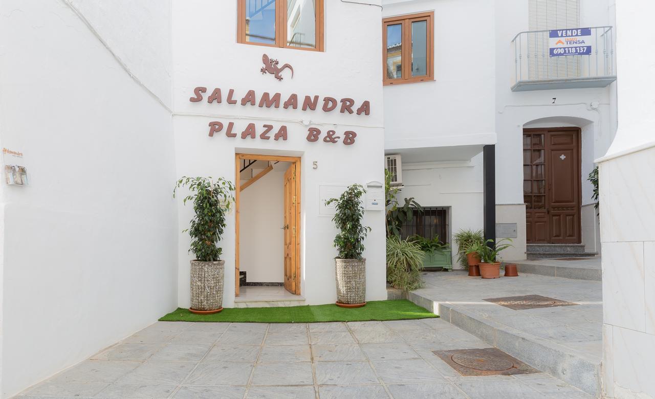 Salamandra Plaza 2* Cómpeta